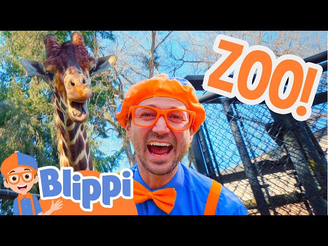 Blippi Visits a Zoo (Woodland Park)! | Blippi Full Episodes | Animal Videos for Kids