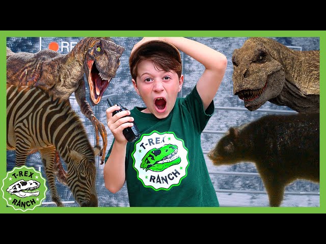 Dinosaur Animal Park Adventure! | T-Rex Ranch Dinosaur Videos for Kids