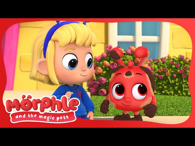 Car Wash 🚗🧼| Morphle and the Magic Pets | Available on Disney+ and @disneyjunior | BRAND NEW