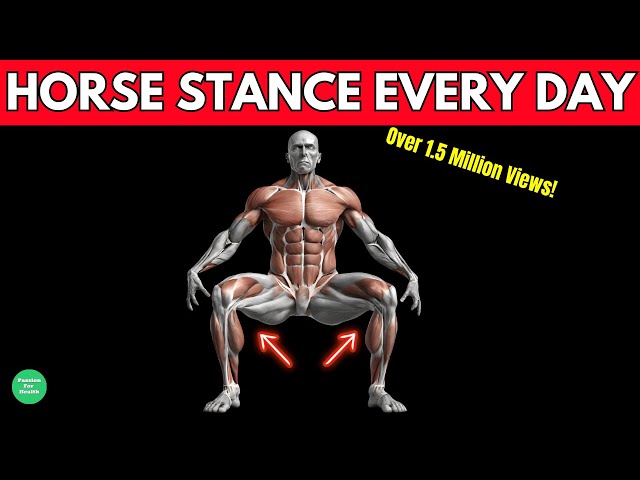 What Happens To Your Body When You Do The Horse Stance Every Day-Shocking Results