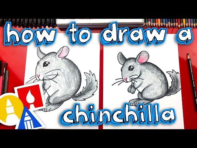 How To Draw A Chinchilla - Replay Live Draw Along