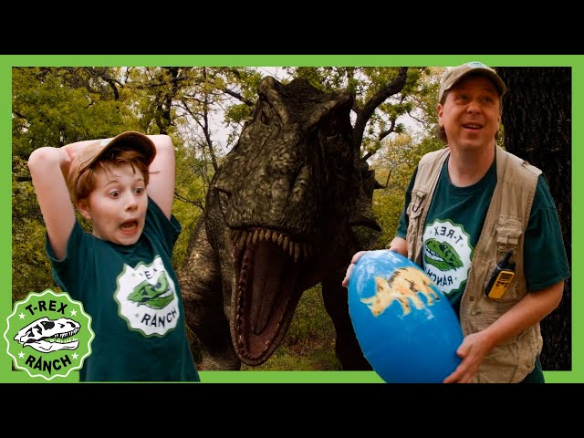 Dino Surprise Egg Hunt: Explosive Adventure! 🦖🦕 T-Rex Ranch Dinosaur Videos