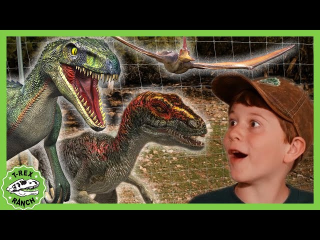 Dinosaurs & Animals for Kids! Giant Dinosaur vs Mystery Pet! | T-Rex Ranch Dinosaur Videos