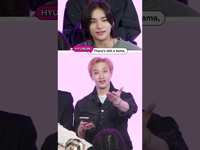 "Why is there a llama BuzzFeed? We've talked about this!"😂🦙 Stray Kids  Member Quiz Out NOW!