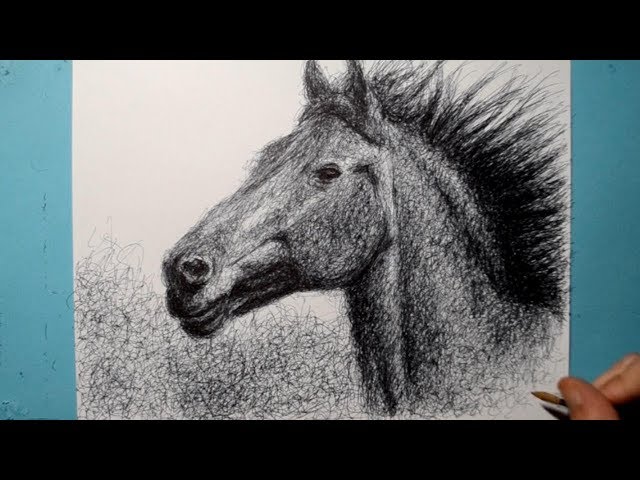 Ballpoint Pen Drawing / Horse Portrait / Scribble Art Therapy / Day 034