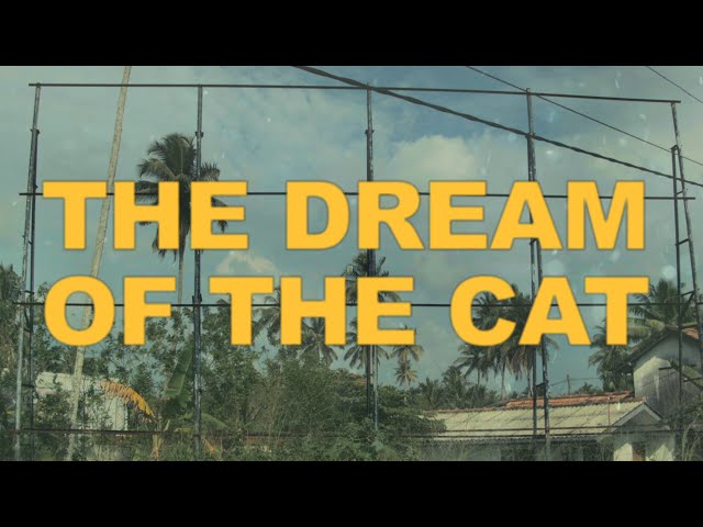 The Dream Of The Cat