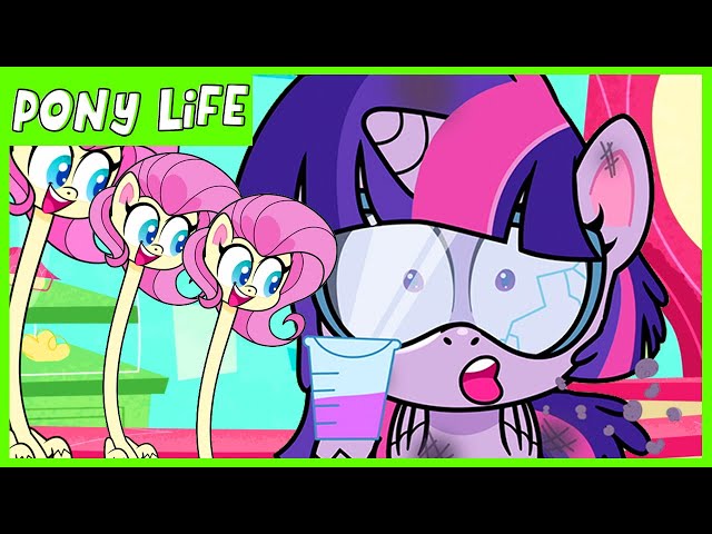 Pony Life | NEW | Pony Life Potion Mystery  | MLP Pony Life