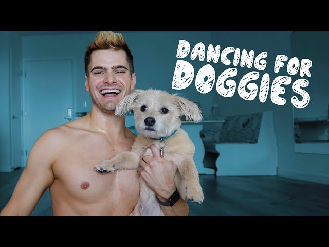 DANCING FOR DOGGIES (My Dog Hates Me)