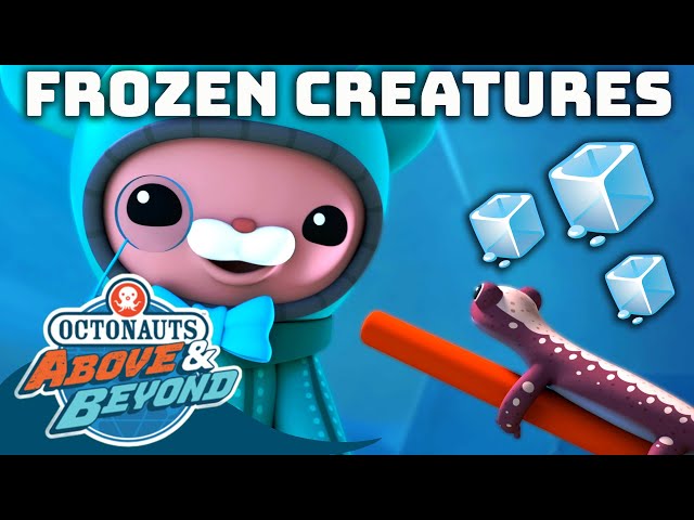Octonauts: Above & Beyond - 🧊 Frozen Creatures 🐊🦎 | Winter Rescues Compilation | @Octonauts​