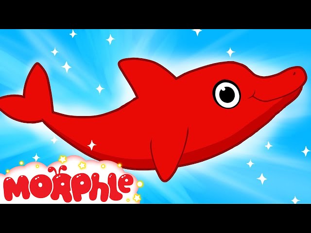My Pet Dolphin - My Magic Pet Morphle Episode #36
