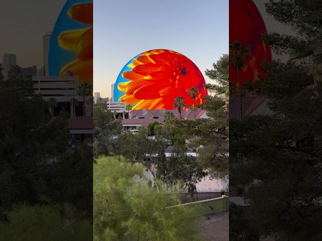 Las Vegas Sphere Puts on Vibrant Earth Day Show