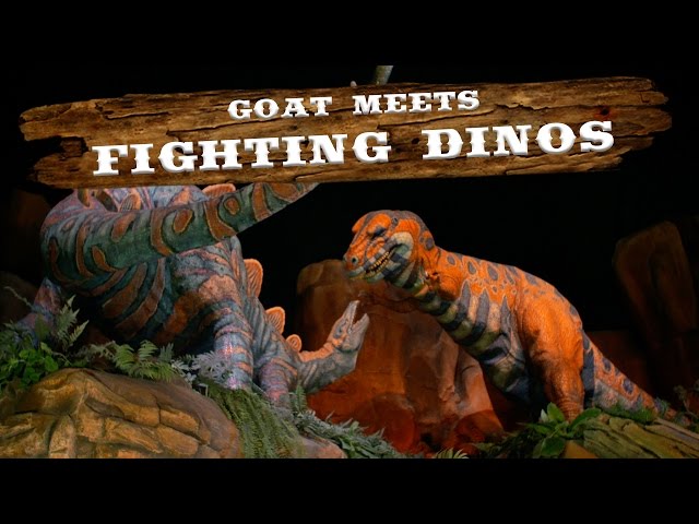 Fighting Dinos | Walt Disney World Goat Friends | WDW Best Day Ever