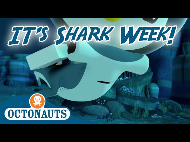 Octonauts - Injured Hammerhead Shark | Cartoons for Kids | It's Shark Week!
