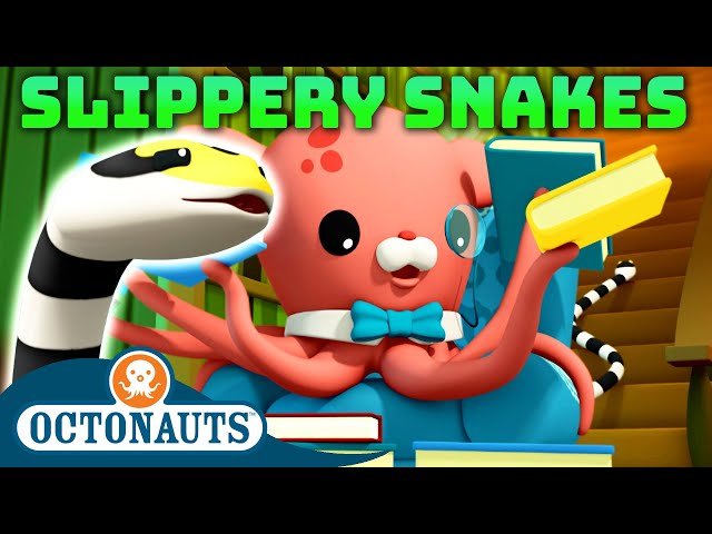 @Octonauts -  🌧️ Slippery Snakes 🐍 | National Serpent Day | 50 Mins+ Compilation