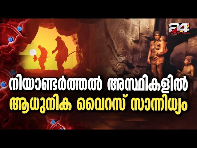 50,000 വർഷം പഴക്കമുള്ള നിയാണ്ടർത്തൽ അസ്ഥികളിൽ മനുഷ്യ വൈറസുകൾ കണ്ടെത്തി | Neaderthals