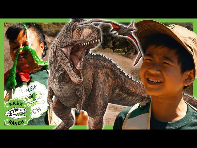 Doge the big TREX - Too Close for Hunger 🦖 | T-Rex Ranch Dinosaur Videos