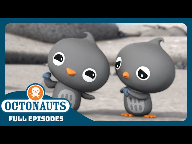 @Octonauts - ❄️ The Adelie Penguins 🐧 | Season 2 | Full Episodes | Cartoons for Kids