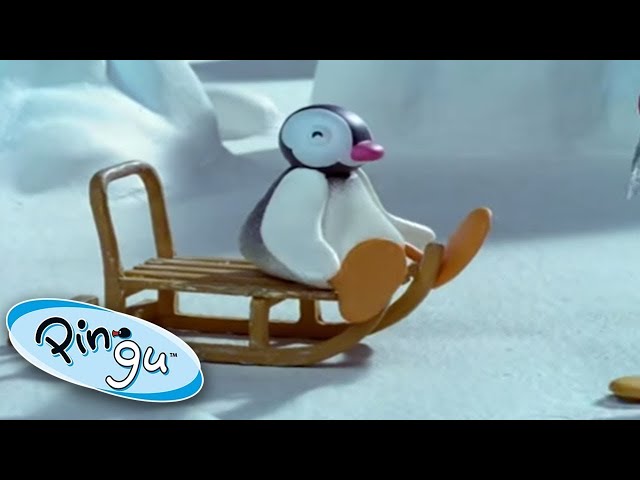 Pinga Enjoys Some Winter Sports! @Pingu - Official Channel  | Cartoons For Kids