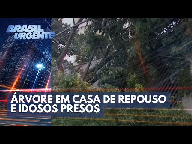 Árvore cai na frente de casa de repouso e deixa idosos presos | Brasil Urgente