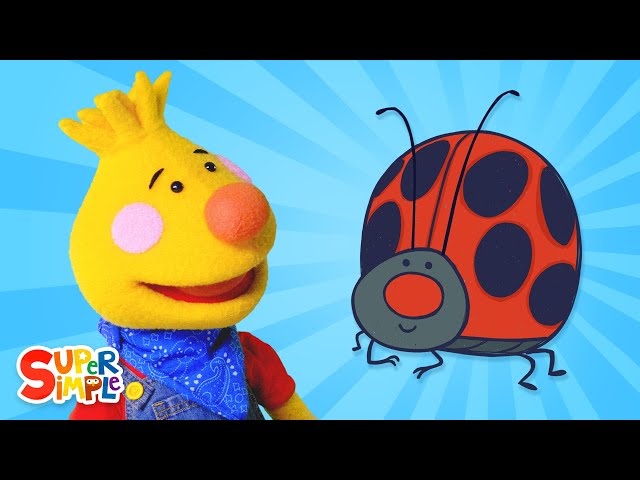 Learn About Ladybugs | Milo And Tobee