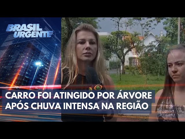 Vítima escapa de queda de árvore por pouco em São Paulo | Brasil Urgente