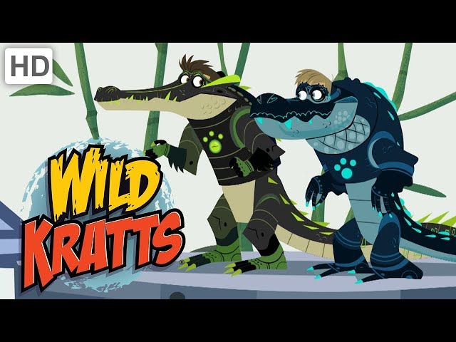 Wild Kratts 🐊 Alligators vs. Crocodiles! | Kids Videos