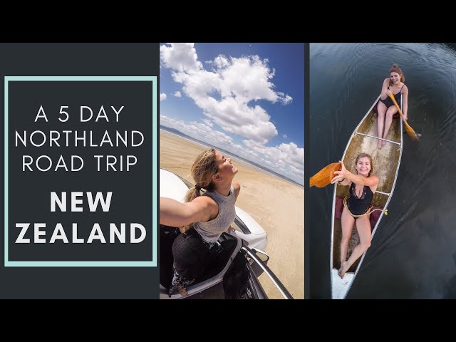 My New Zealand Roadtrip | Paihia, Bay of Islands, Cape Reinga