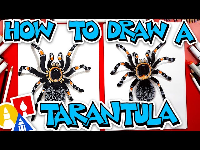 How To Draw A Tarantula (Red Knee)
