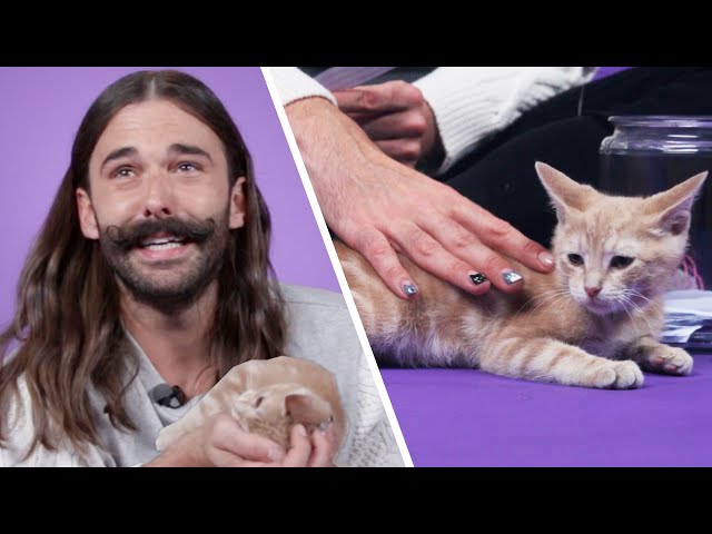 Jonathan Van Ness Plays With Kittens While Answering Fan Questions