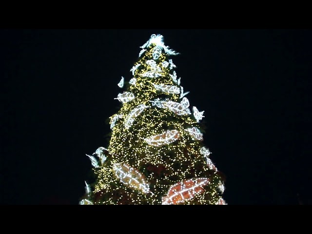 Kaunas Christmas Tree