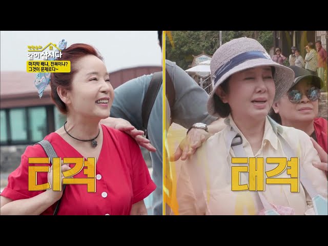 전복따기 좋은날,  일꾼(?)떠난후 언니들의 뒷담화   [같이 삽시다 시즌2] KBS(2020.10.7)방송