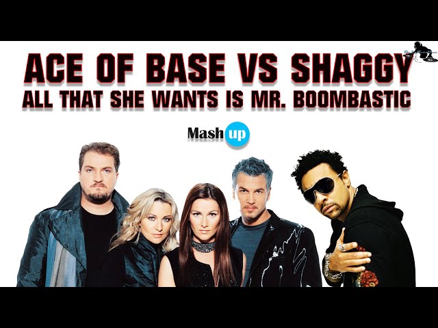 Ace of base Vs Shaggy - All that she wants is Mr.  Boombastic - Paolo Monti mashup 2023