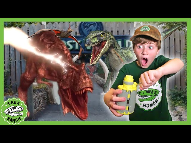 Find the Dino Eggs & Floor is Lava! | T-Rex Ranch Dinosaur Videos
