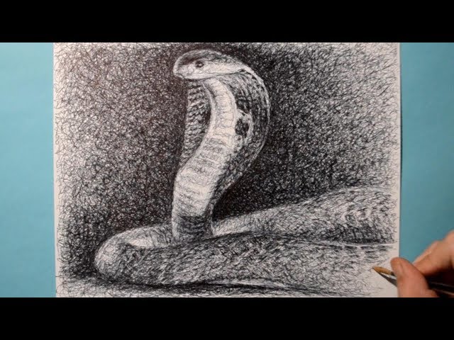 Cobra Snake Drawing / Ballpoint Pen Sketch / Cool Technique / Scribble Art Therapy / Day 038
