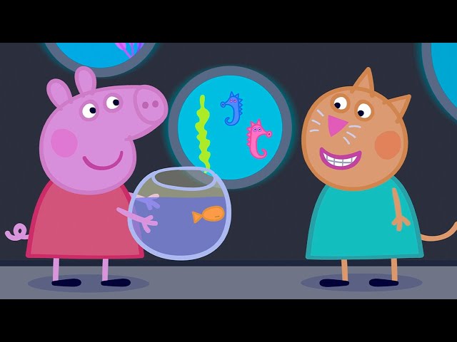 At The Aquarium 🐠 | Peppa Pig Official Full Episodes