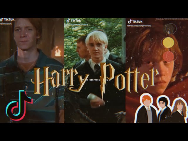 Random Harry Potter TikTok (Part 15)