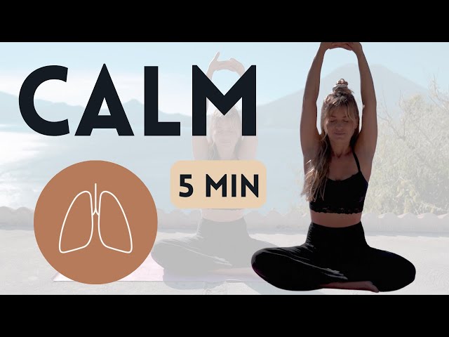 6 min Butterfly Coherence Breathwork Practice