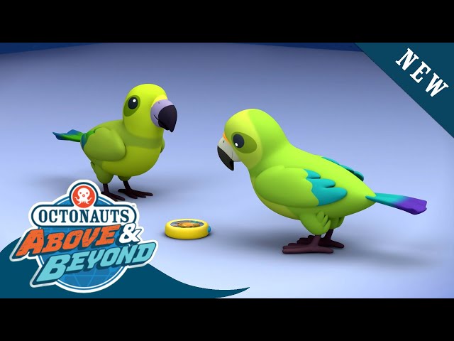 Octonauts: Above & Beyond - Tweak & the Kea Birds ⛰️ 🦜 | Season 2 | @Octonauts​