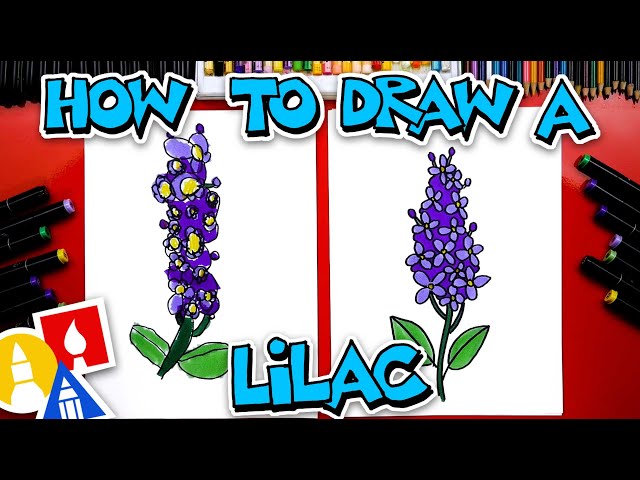 How To Draw Lilac Flowers