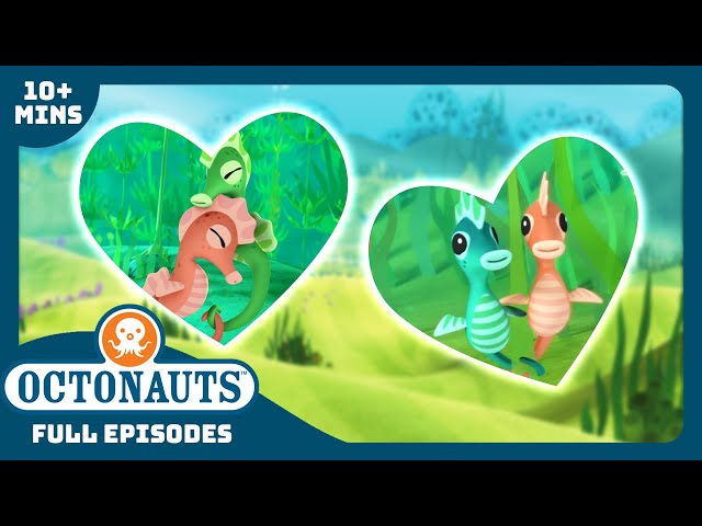 @Octonauts -  🌊🐴 The Seahorse Love Tale 💕 | Season 1 | Full Episodes | Cartoons for Kids