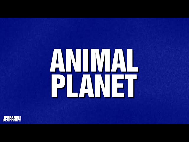 Animal Planet | Category | JEOPARDY!