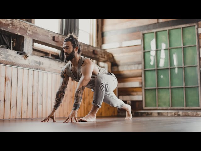 Full Circle Vinyasa Practice | Yoga with Patrick Beach