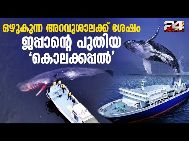 നീലതിമിംഗല വേട്ടക്ക് ജപ്പാന്റെ അത്യാധുനിക കപ്പൽ-കാംഗെ മാരു | Japan whaling ‘mother ship’