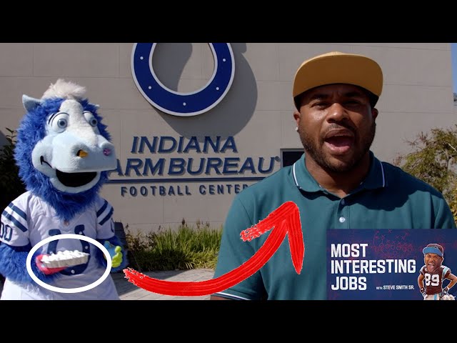 Steve Smith SR. Learns How to Be a NFL Mascot | Most Interesting Jobs