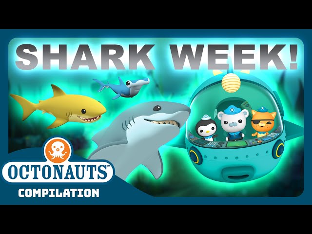 @Octonauts - 🦈 SHARK WEEK MARATHON! 🤿 | 3 Hours+ Full Episodes | Explore the Ocean