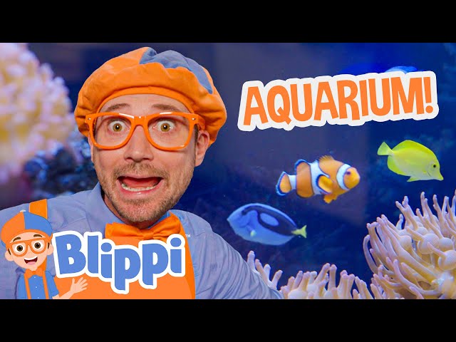 Blippi Visits the Marine Animals of the Aquarium of Boise! | Blippi Full Episodes