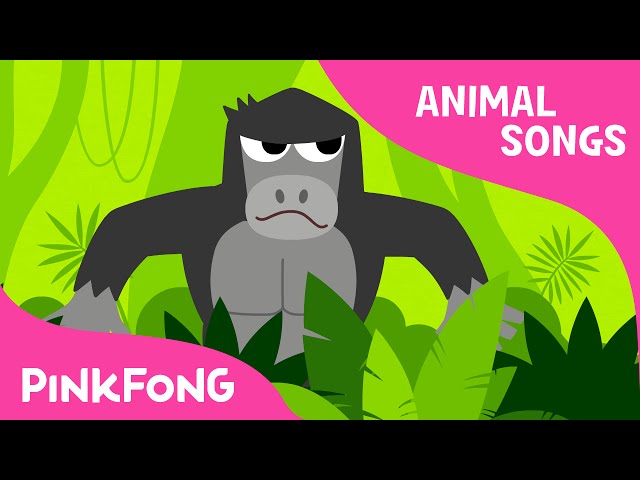 Jungle Boogie | Animal Songs | PINKFONG Songs for Children