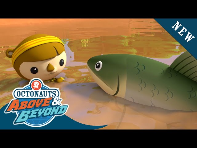 Octonauts: Above & Beyond - Luring out a Giant Carp Fish 🐠🎣 | Season 2 | @Octonauts​