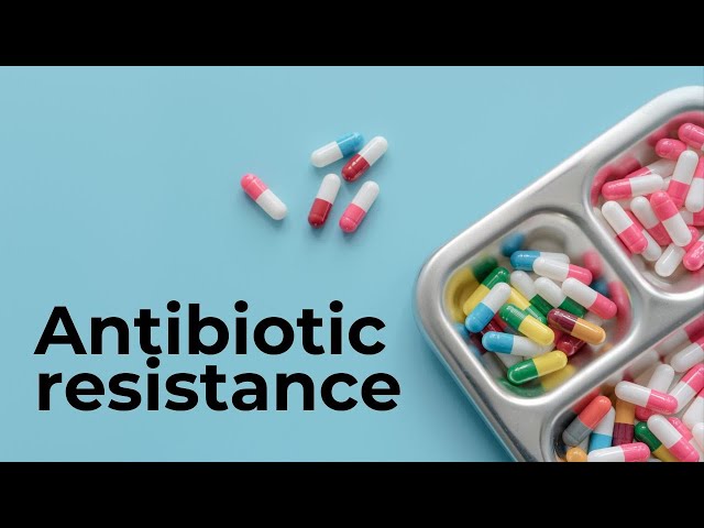 How we’re fighting antibiotic resistant infections.