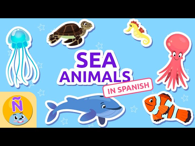 SEA ANIMALS 🐬ANIMALS ACUÁTICOS 🐙 Spanish Vocab for Kids